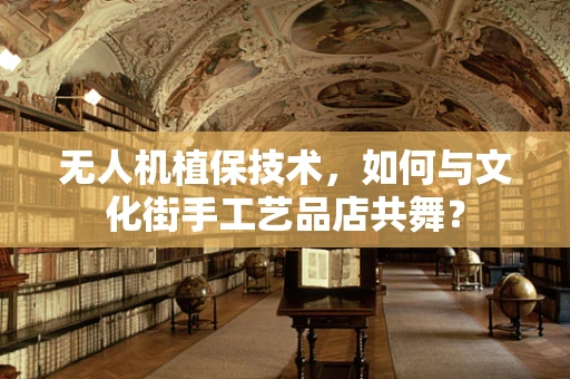 无人机植保技术，如何与文化街手工艺品店共舞？