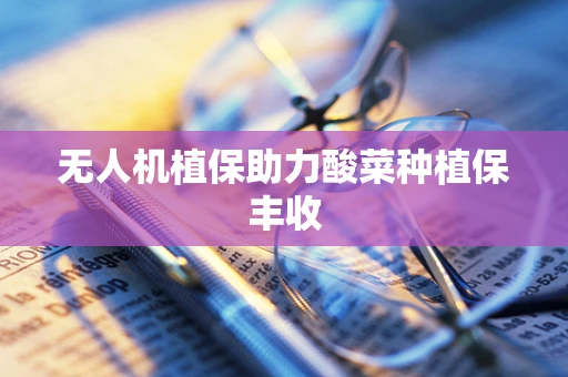 无人机植保助力酸菜种植保丰收