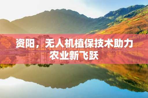 资阳，无人机植保技术助力农业新飞跃