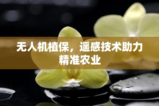 无人机植保，遥感技术助力精准农业