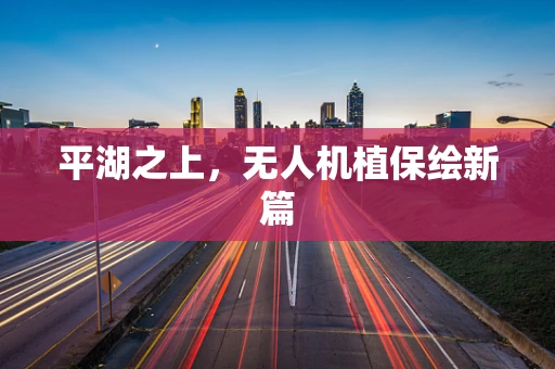 平湖之上，无人机植保绘新篇