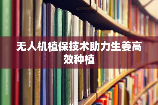 无人机植保技术助力生姜高效种植
