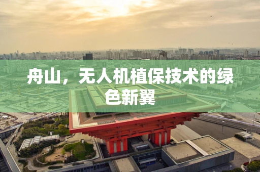 舟山，无人机植保技术的绿色新翼
