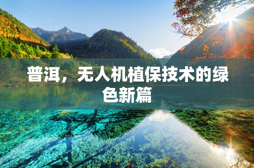 普洱，无人机植保技术的绿色新篇