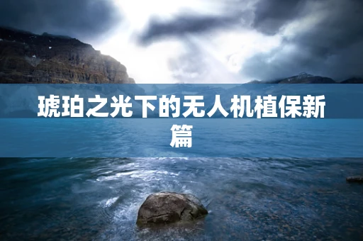 琥珀之光下的无人机植保新篇