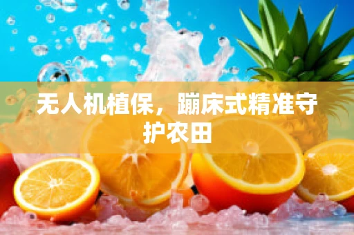 无人机植保，蹦床式精准守护农田