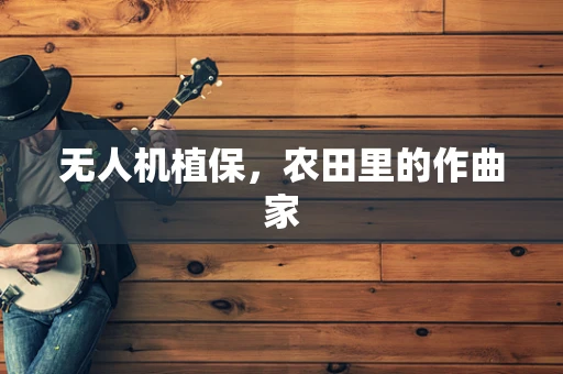 无人机植保，农田里的作曲家