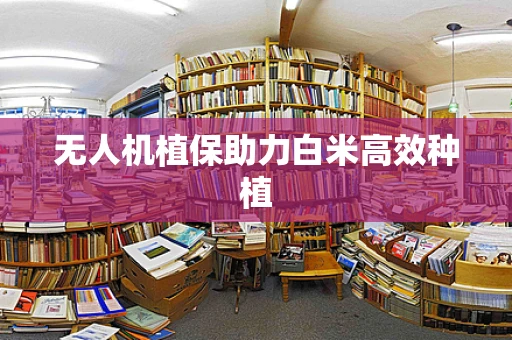 无人机植保助力白米高效种植