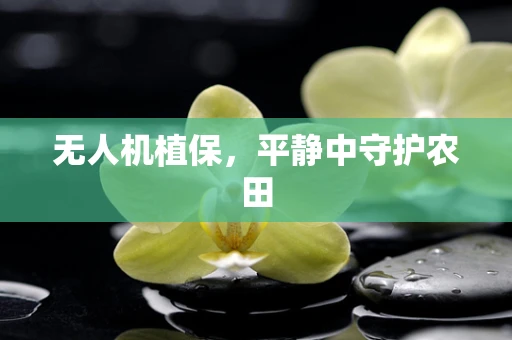 无人机植保，平静中守护农田