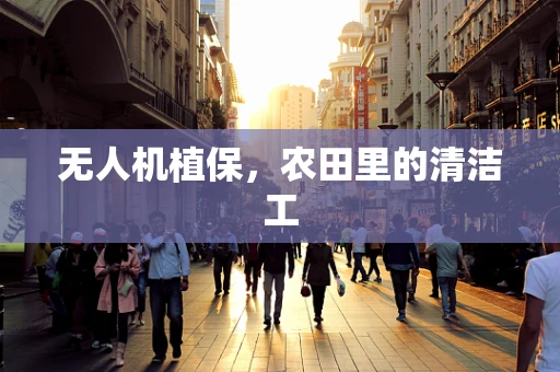 无人机植保，农田里的清洁工