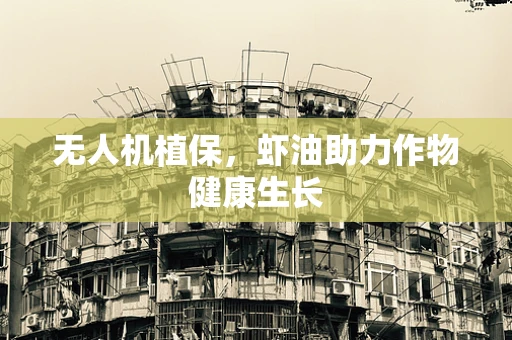 无人机植保，虾油助力作物健康生长