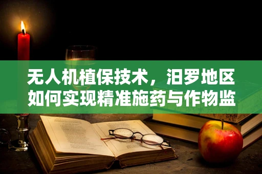 无人机植保技术，汨罗地区如何实现精准施药与作物监测的平衡？