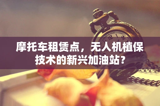 摩托车租赁点，无人机植保技术的新兴加油站？