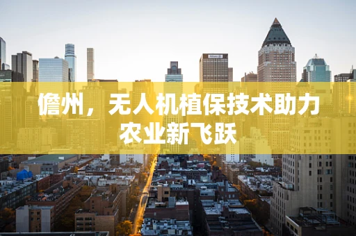 儋州，无人机植保技术助力农业新飞跃