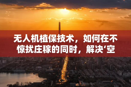 无人机植保技术，如何在不惊扰庄稼的同时，解决‘空中痤疮’——农药喷洒的精准挑战？
