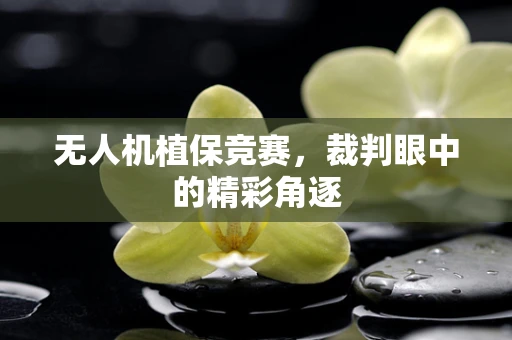 无人机植保竞赛，裁判眼中的精彩角逐