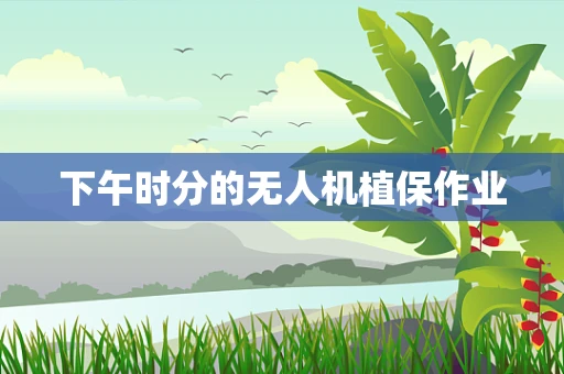 下午时分的无人机植保作业