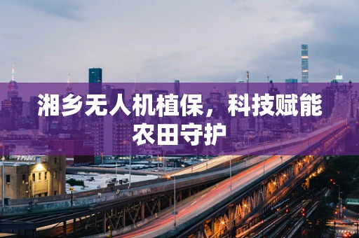 湘乡无人机植保，科技赋能农田守护