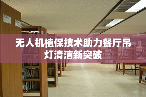 无人机植保技术助力餐厅吊灯清洁新突破