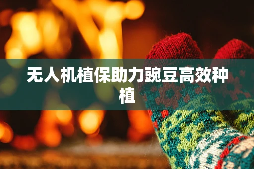 无人机植保助力豌豆高效种植
