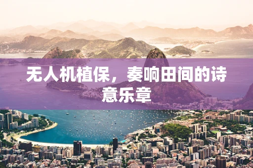 无人机植保，奏响田间的诗意乐章