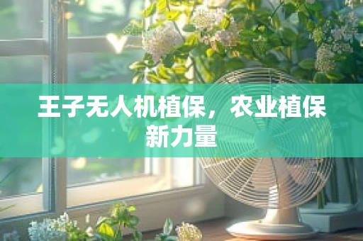 王子无人机植保，农业植保新力量