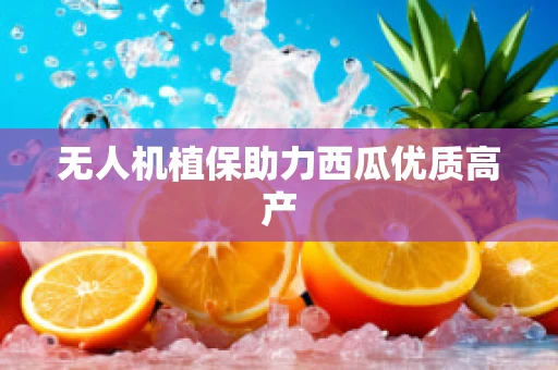 无人机植保助力西瓜优质高产
