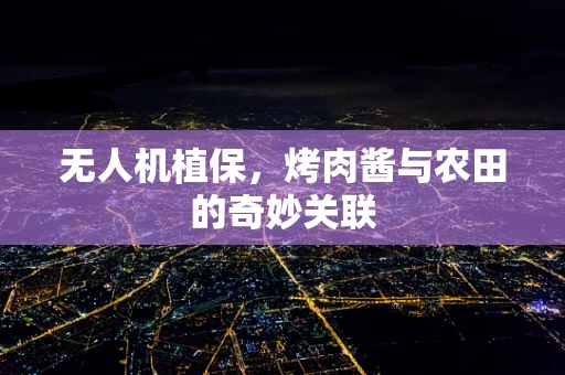 无人机植保，烤肉酱与农田的奇妙关联