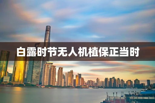 白露时节无人机植保正当时