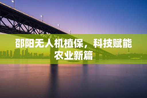 邵阳无人机植保，科技赋能农业新篇