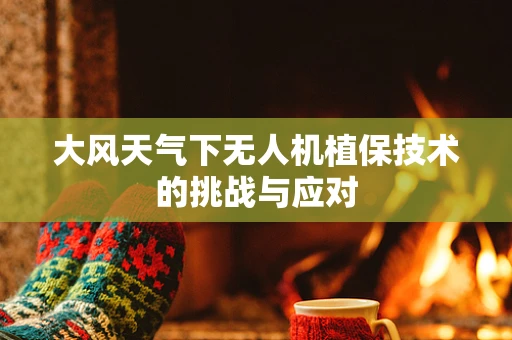 大风天气下无人机植保技术的挑战与应对