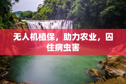 无人机植保，助力农业，囚住病虫害