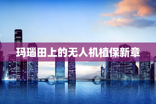 玛瑙田上的无人机植保新章