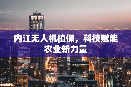 内江无人机植保，科技赋能农业新力量
