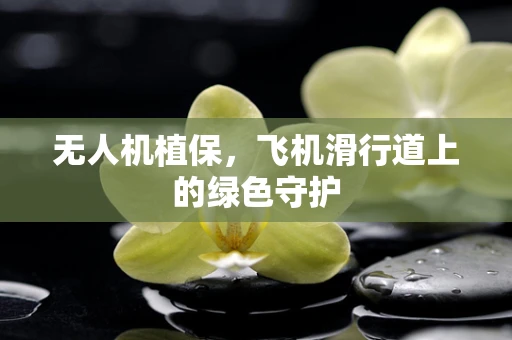 无人机植保，飞机滑行道上的绿色守护
