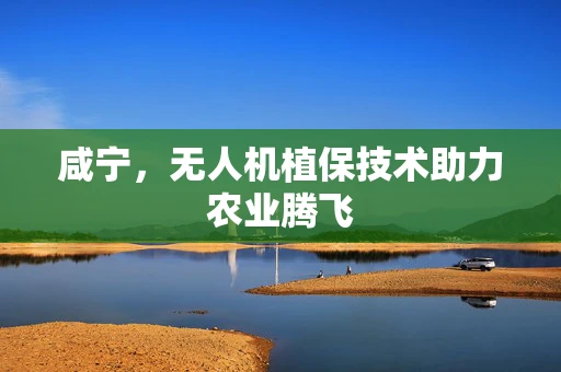 咸宁，无人机植保技术助力农业腾飞