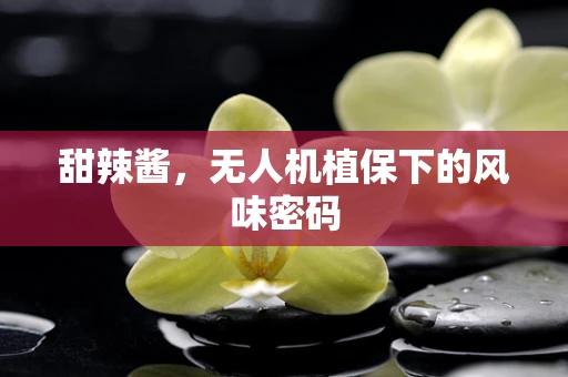 甜辣酱，无人机植保下的风味密码