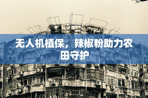 无人机植保，辣椒粉助力农田守护