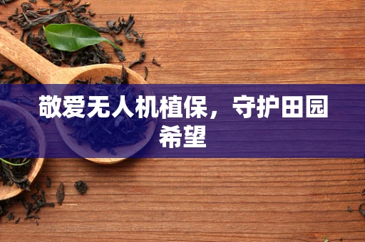 敬爱无人机植保，守护田园希望
