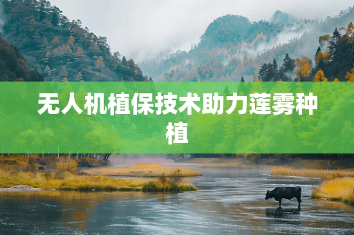 无人机植保技术助力莲雾种植
