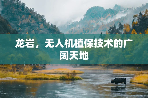 龙岩，无人机植保技术的广阔天地