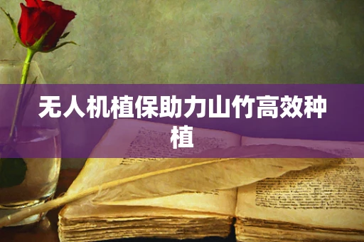 无人机植保助力山竹高效种植
