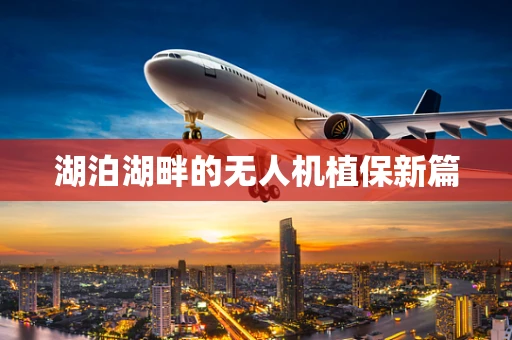 湖泊湖畔的无人机植保新篇