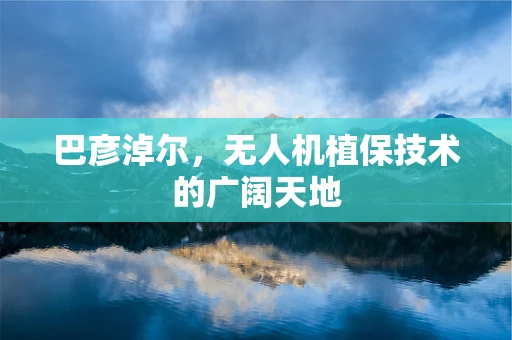 巴彦淖尔，无人机植保技术的广阔天地
