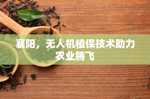 襄阳，无人机植保技术助力农业腾飞