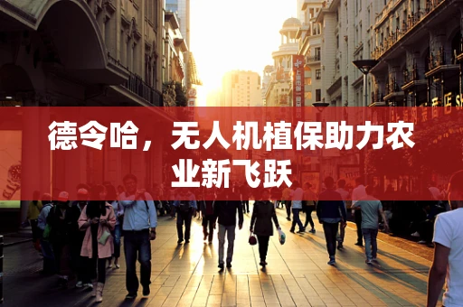 德令哈，无人机植保助力农业新飞跃