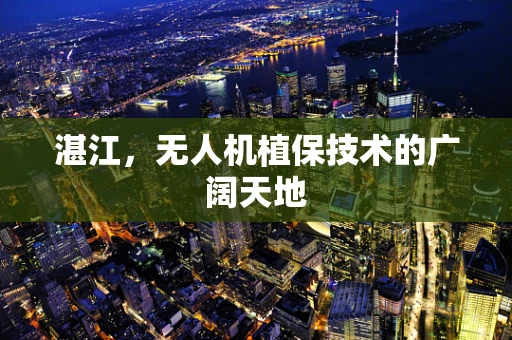 湛江，无人机植保技术的广阔天地