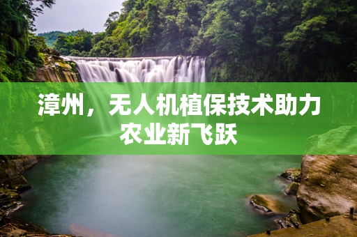 漳州，无人机植保技术助力农业新飞跃