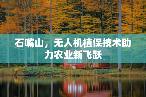 石嘴山，无人机植保技术助力农业新飞跃