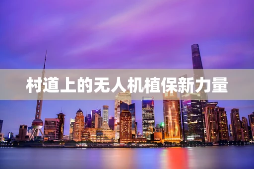 村道上的无人机植保新力量